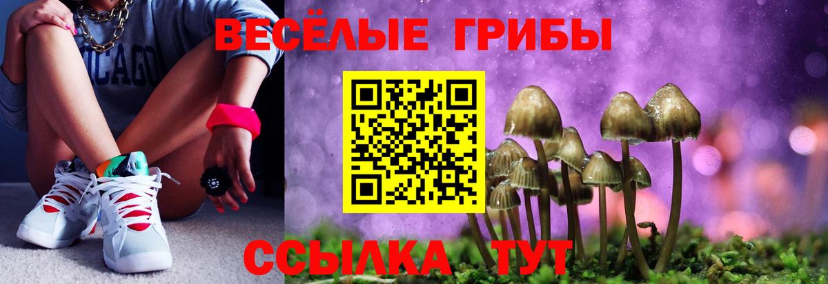 где купить наркоту  Псилоцибиновые грибы GOLDEN TEACHER  Оренбург  Вход с VPN  Галлюциногенные грибы Cubensis 